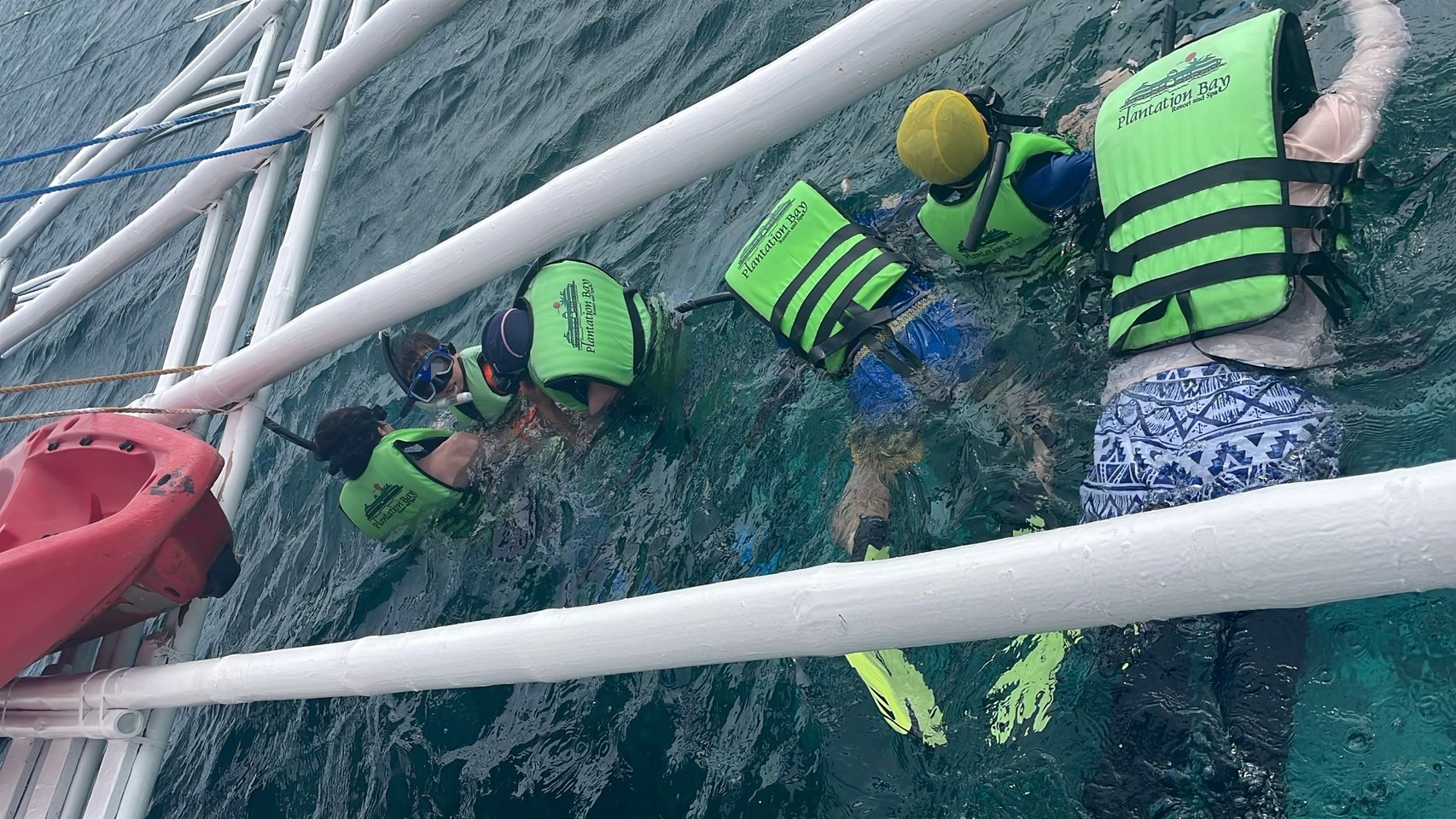 シュノーケリングで色鮮やかなお魚発見