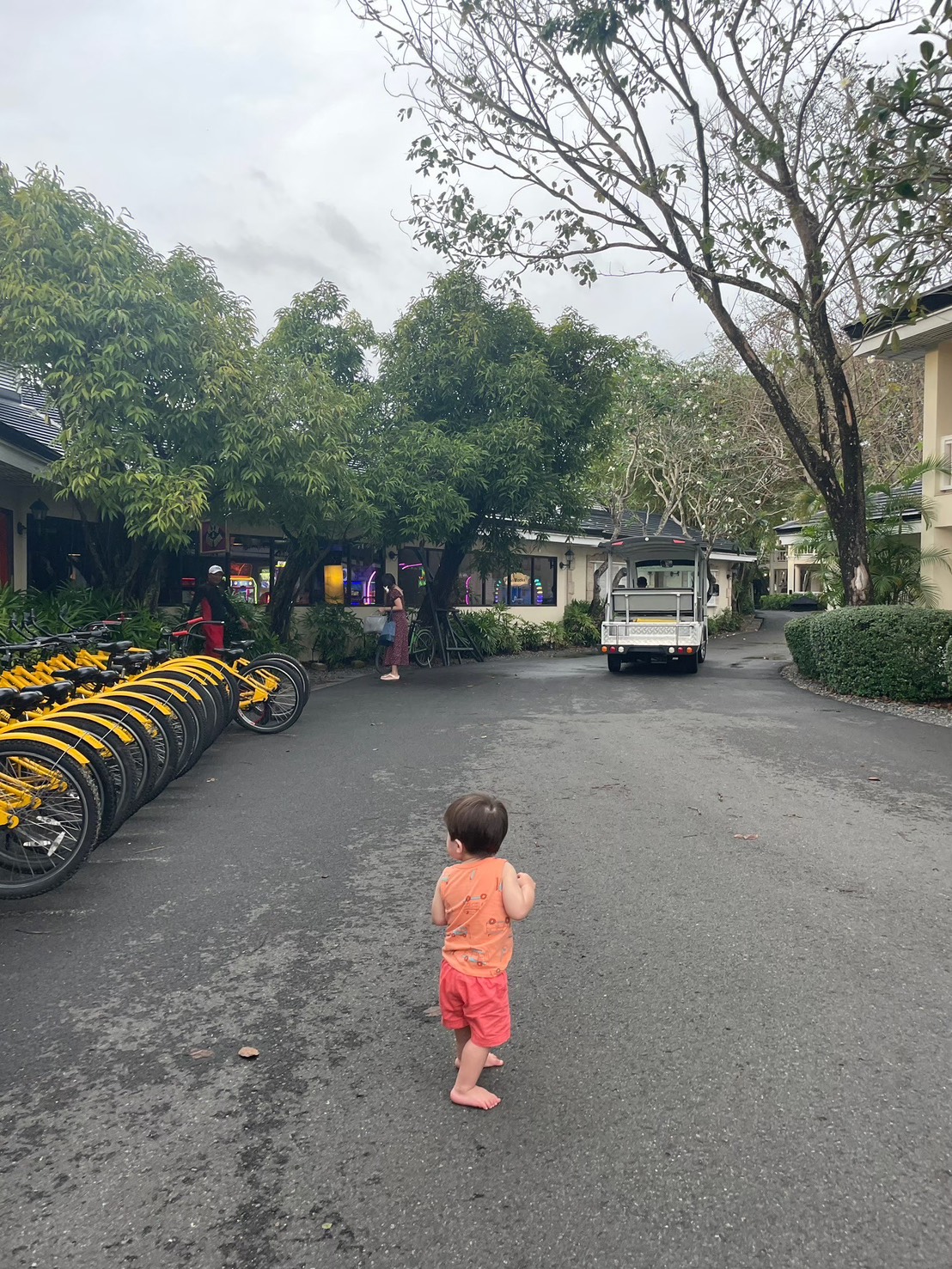 プランテーションベイ