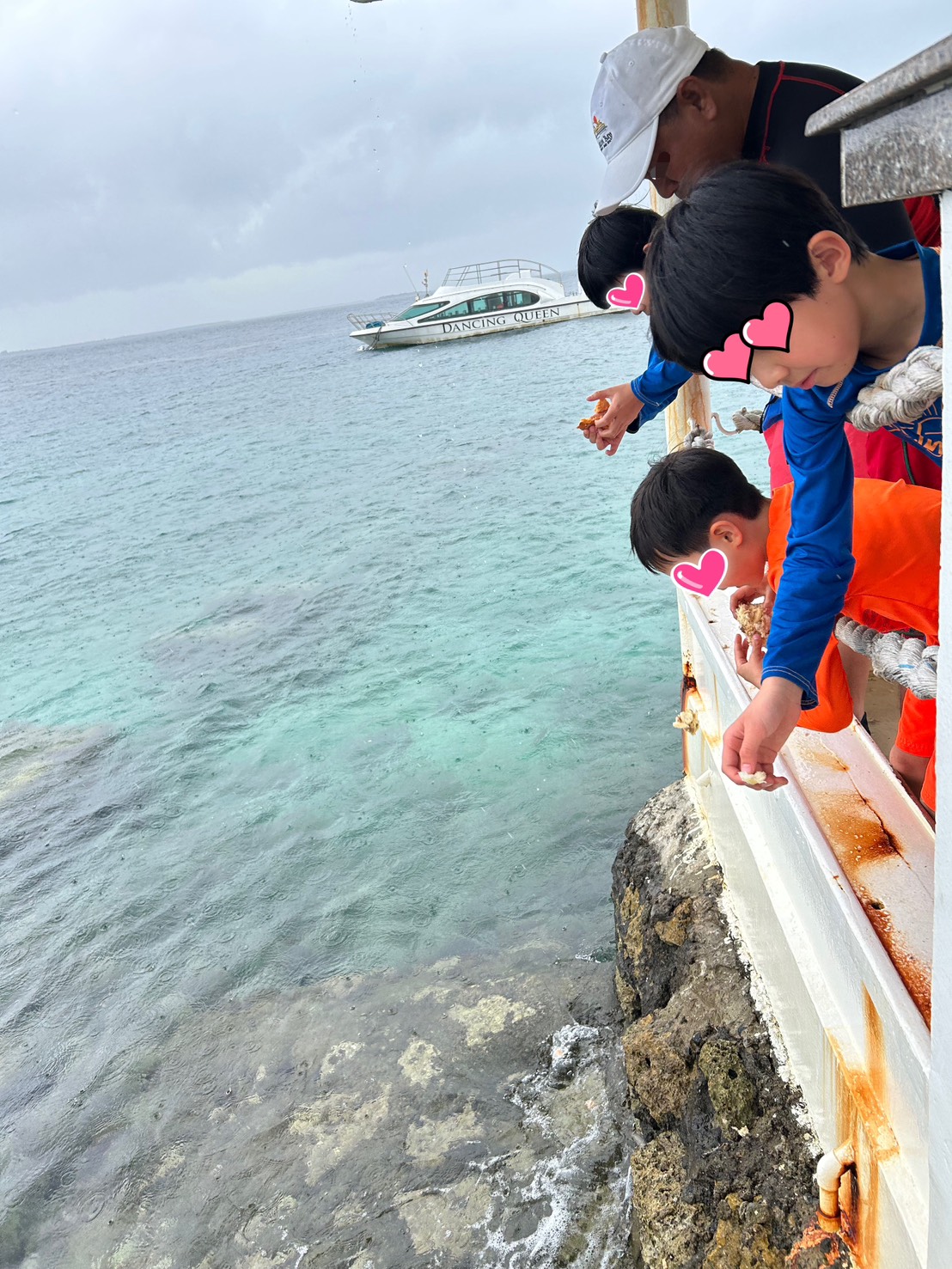 プランテーションベイで魚に餌付け体験